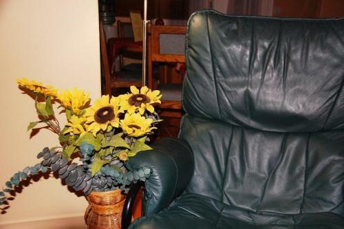 A Vacation Paradise At Quail Ridge B&B
