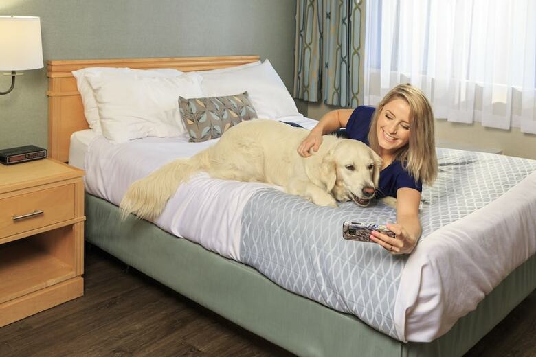 Hotel Accent Inns Kelowna