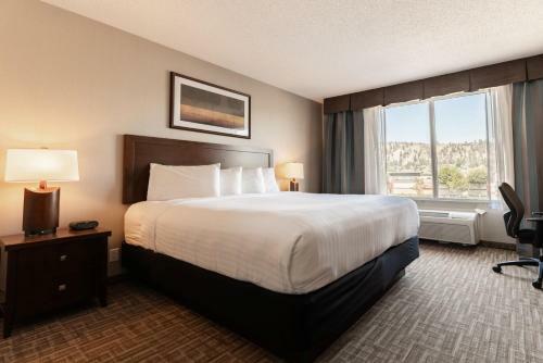 Hotel Holiday Inn Express Kelowna
