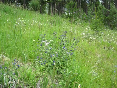 Wild Nature B&B