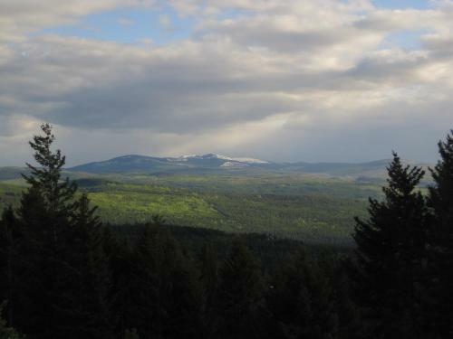 Wild Nature B&B