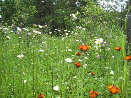 Wild Nature B&B