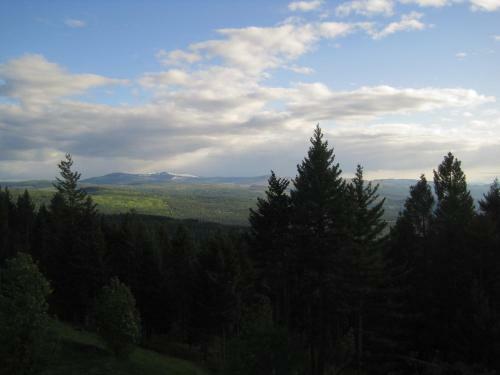 Wild Nature B&B