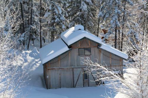 Wild Nature B&B
