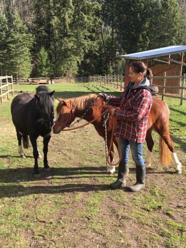 Hostal Hitching Post Resort