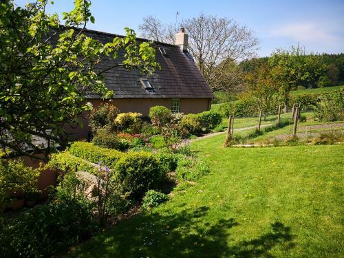 Bed & Breakfast Walnut Tree Farm