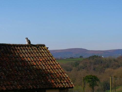 Bed & Breakfast Walnut Tree Farm
