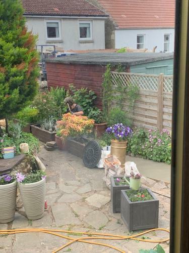Bed & Breakfast Lynwood, Cupar, Fife