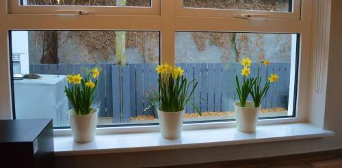 The Captains Cottage, Cushendall