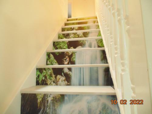 Two Beautiful Double Bedroom Tulip Apartment