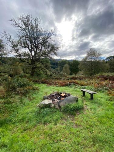 The Nest Glamping Pod