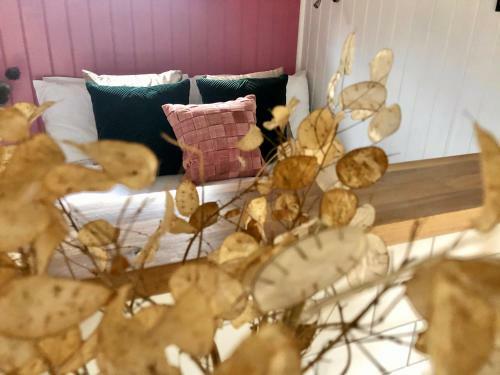 Lodge Mid Wales Luxury Huts