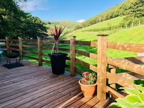 Lodge Mid Wales Luxury Huts