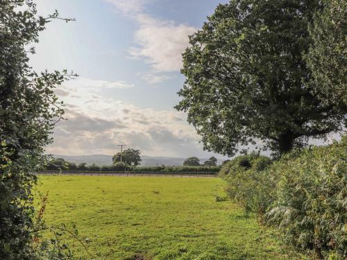 Bryn Derwen