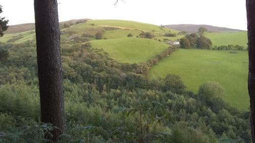 Owl's Retreat