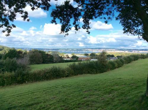 Warren View