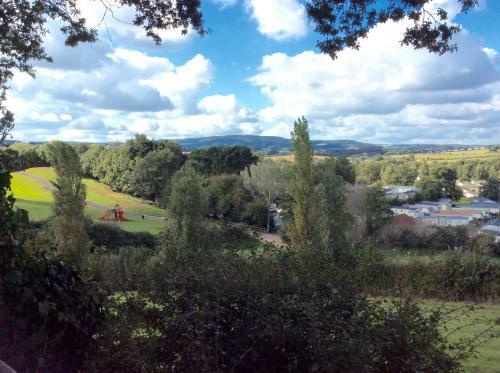 Warren View