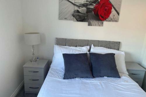 Darlington Luxury 2 Bed