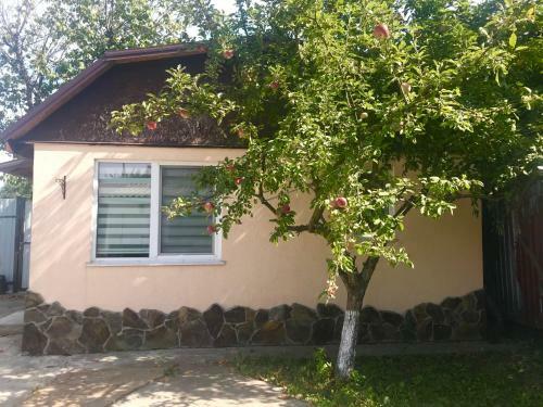Apartments With Kitchen And Garden