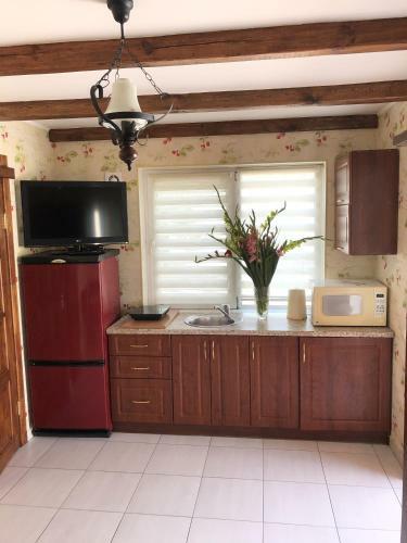 Apartments With Kitchen And Garden