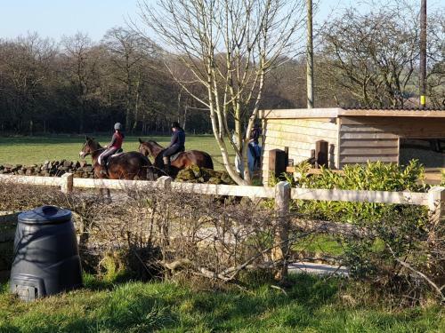 Apartamento The Ryeland Barn