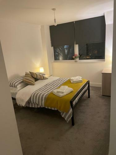 Apt 210 Lovely 1 Bedroom Apartment - Free Parking