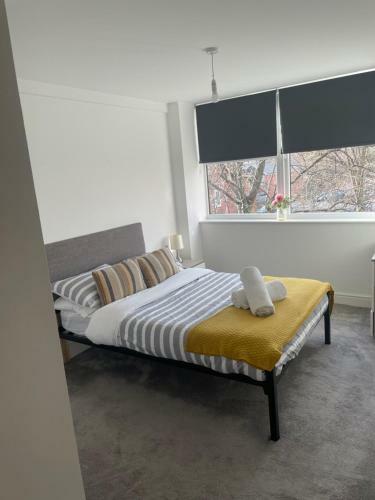 Apt 210 Lovely 1 Bedroom Apartment - Free Parking