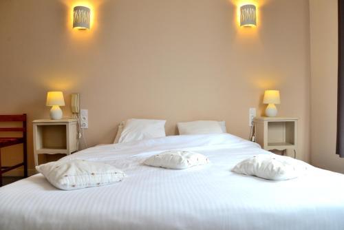Hotel Grand H�tel Saint-aignan
