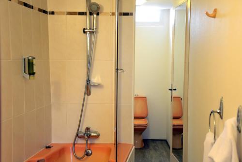 Hotel Grand H�tel Saint-aignan