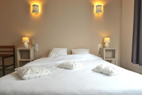 Hotel Grand H�tel Saint-aignan