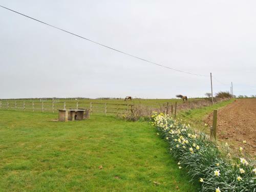 Appletree