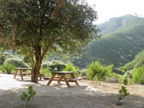 Bed & Breakfast L'ogliastru