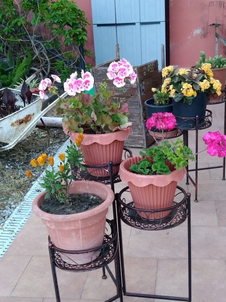 Alba Tra I Pini B&B