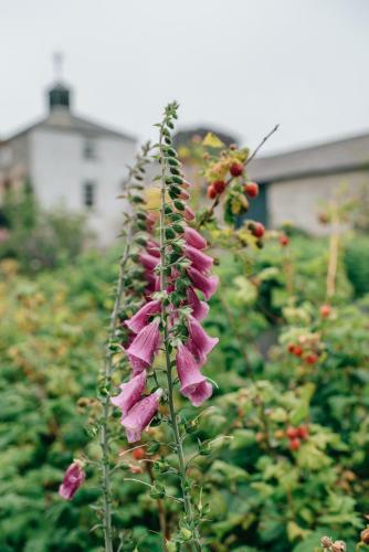 Bed & Breakfast Ballydugan Country House