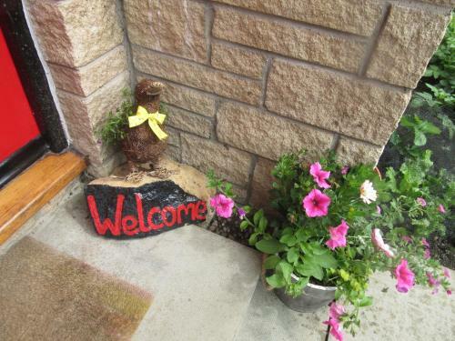 Homely Bed And Breakfast