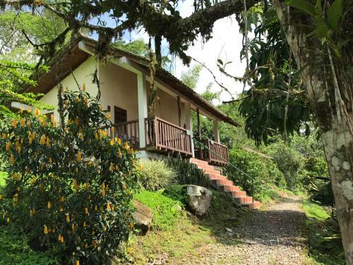 Hotel Jungle Lodge El Jardin Aleman