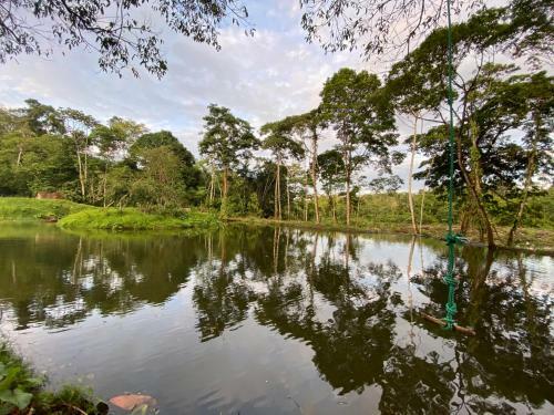 Hotel Jungle Lodge El Jardin Aleman