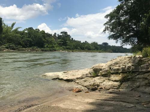 Hotel Jungle Lodge El Jardin Aleman