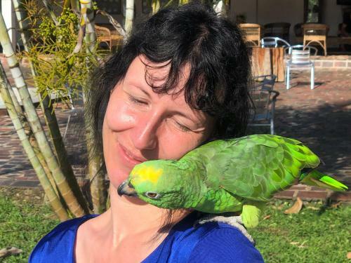 Hotel Jungle Lodge El Jardin Aleman