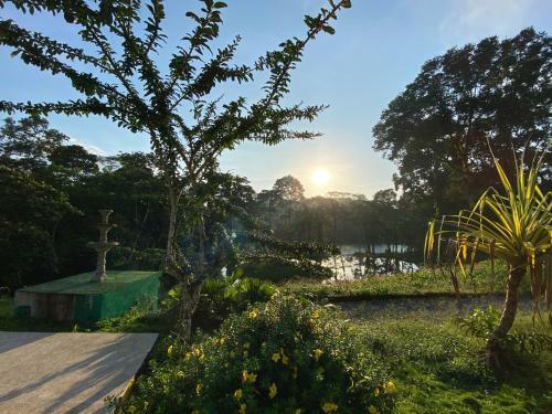 Hotel Jungle Lodge El Jardin Aleman