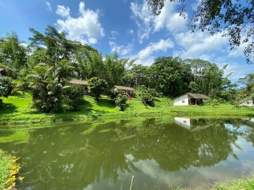 Hotel Jungle Lodge El Jardin Aleman