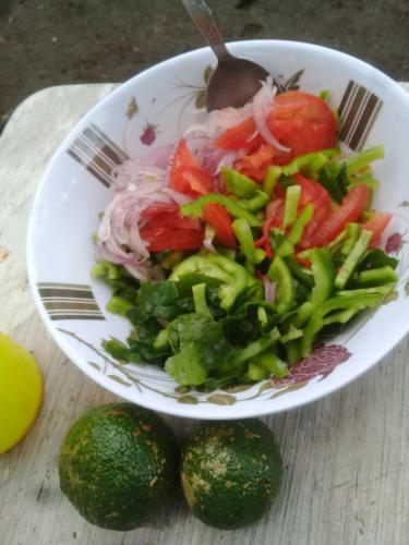 Nick Nixon Adventures