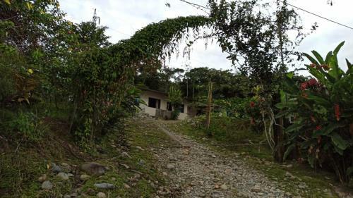 The House Of The Peace Tena Ecuador