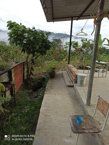 The House Of The Peace Tena Ecuador