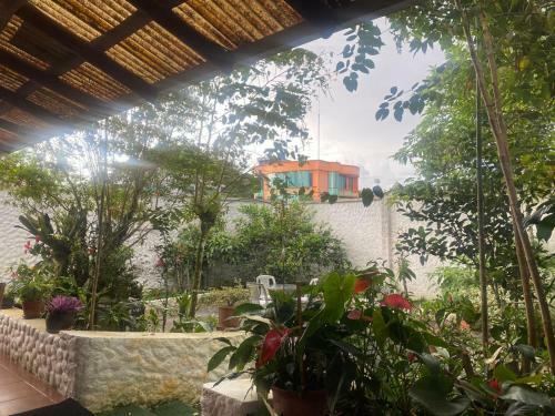 Bed & Breakfast La Casa Del Abuelo