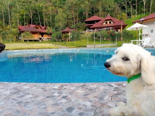 Hotel Mercedes Lodge