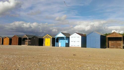 The Gulls - Wittering