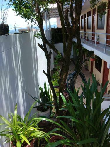 Hostal Casa Hospedaje Los Helechos
