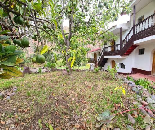 Hotel Hideaway Garden