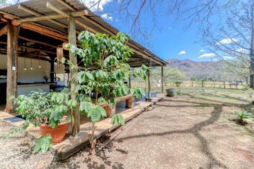 Finca El Laurel